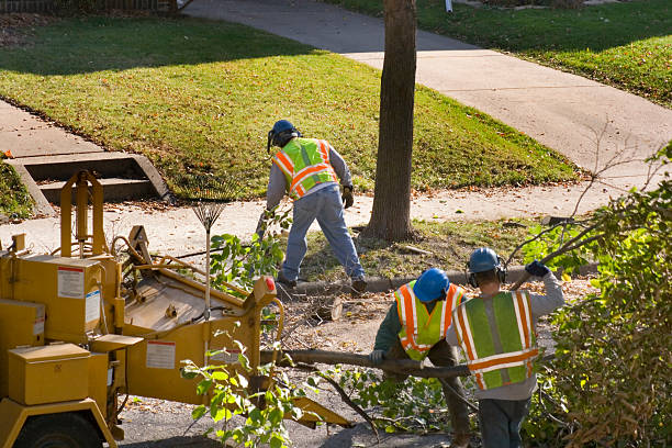 Best Lawn Watering Services  in Ridgewood, IL